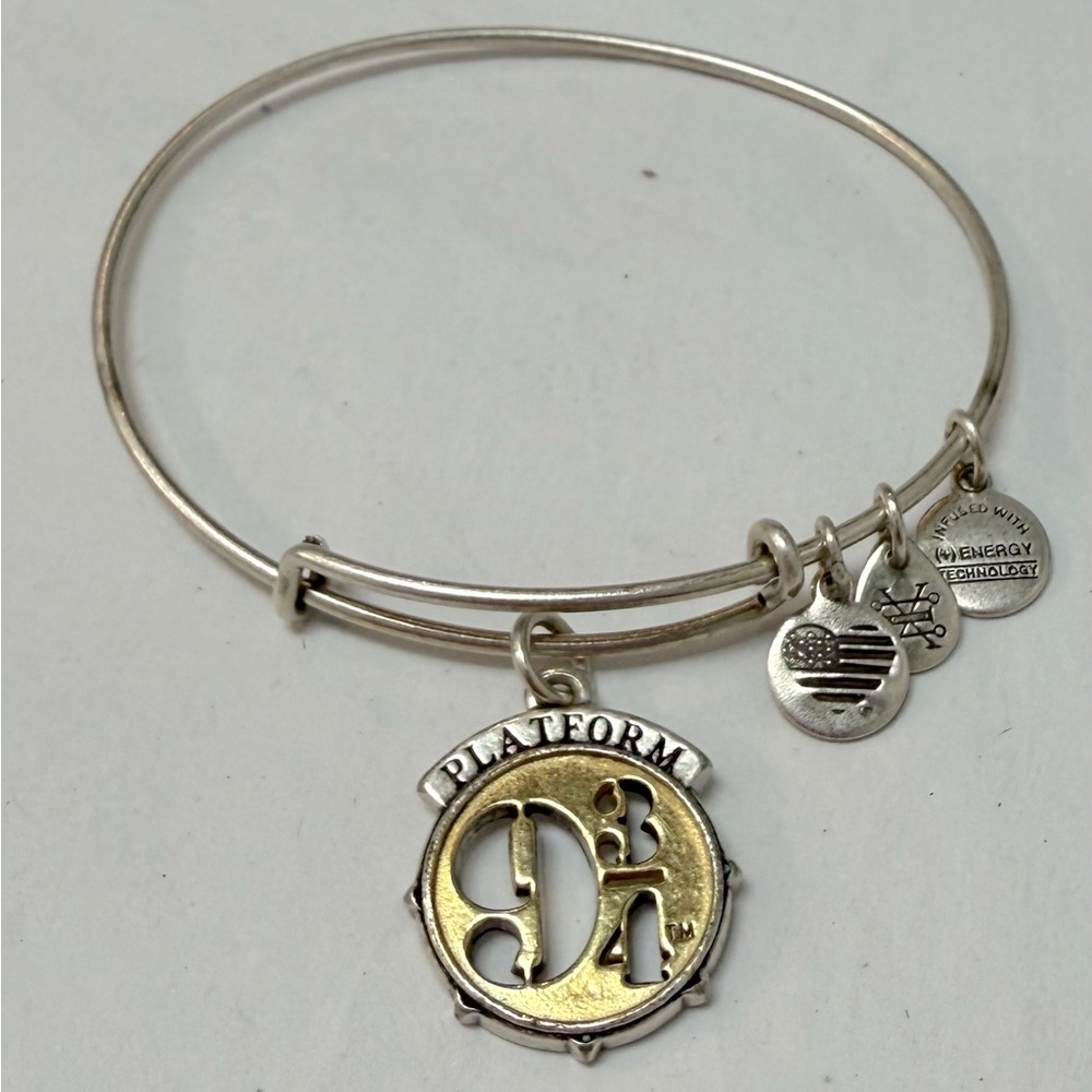 Alex and Ani Harry Potter Charm Bangle Bracelet